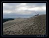 Filename=dune01.jpg
Filesize=82KB
Dimensions=774x607
Date added=Feb 22, 2008 dune01.jpg