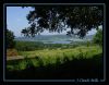 Filename=lac01.jpg
Filesize=140KB
Dimensions=774x604
Date added=Feb 23, 2008 lac01.jpg