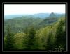 Filename=montsegur001.jpg
Filesize=134KB
Dimensions=777x607
Date added=Feb 23, 2008 montsegur001.jpg