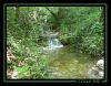 Filename=pupier005.jpg
Filesize=223KB
Dimensions=777x607
Date added=Feb 23, 2008 pupier005.jpg