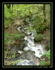ruisseau001.jpg